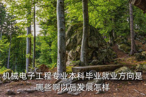 機(jī)械電子工程專業(yè)本科畢業(yè)就業(yè)方向是哪些啊以后發(fā)展怎樣