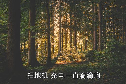 掃地機(jī)器人無法充電,科沃斯掃地機(jī)器人無法充電