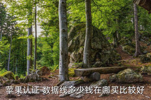 蘋果認證 數(shù)據(jù)線多少錢在哪買比較好