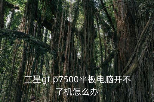 三星p7500自動(dòng)重啟,三星手機(jī)無(wú)法啟動(dòng)請(qǐng)聯(lián)系三星客服中心