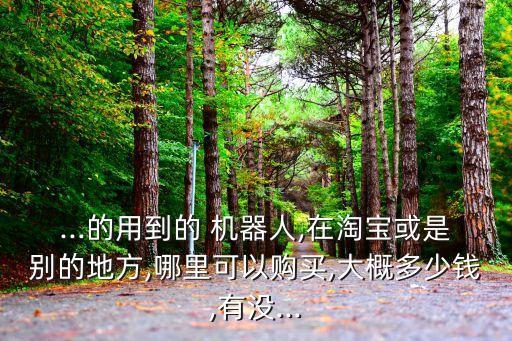...的用到的 機(jī)器人,在淘寶或是別的地方,哪里可以購買,大概多少錢,有沒...