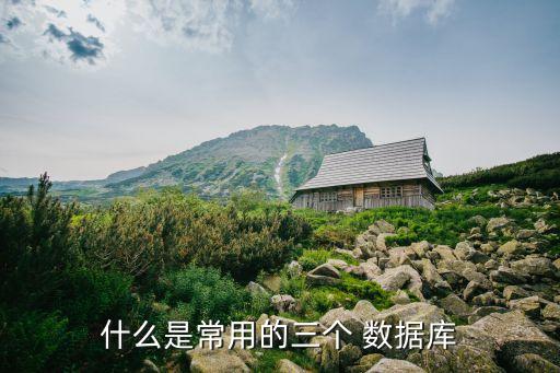 什么是常用的三個(gè) 數(shù)據(jù)庫