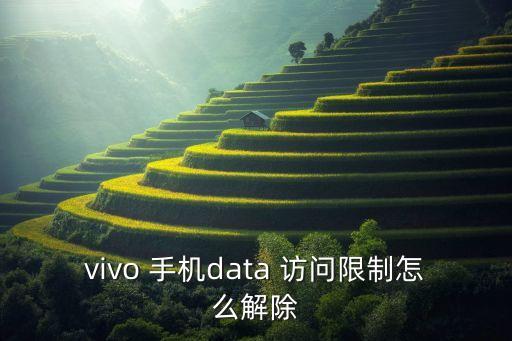 vivo 手機(jī)data 訪問限制怎么解除