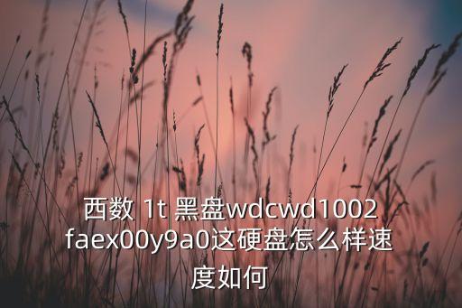 西數(shù) 1t 黑盤wdcwd1002faex00y9a0這硬盤怎么樣速度如何