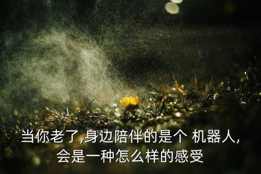當(dāng)你老了,身邊陪伴的是個(gè) 機(jī)器人,會(huì)是一種怎么樣的感受