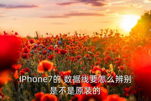 IPhone7的 數(shù)據(jù)線要怎么辨別是不是原裝的