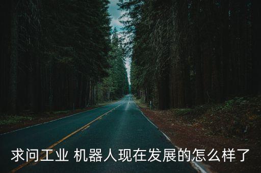 求問工業(yè) 機(jī)器人現(xiàn)在發(fā)展的怎么樣了