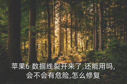 數(shù)據(jù)線外皮破了