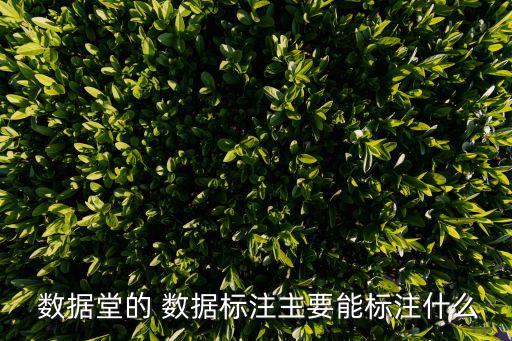  數(shù)據(jù)堂的 數(shù)據(jù)標注主要能標注什么