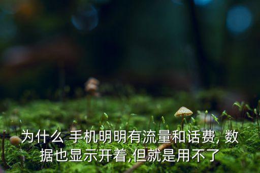 為什么 手機明明有流量和話費, 數(shù)據(jù)也顯示開著,但就是用不了
