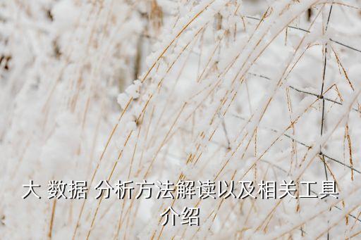 大 數(shù)據(jù) 分析方法解讀以及相關(guān)工具介紹