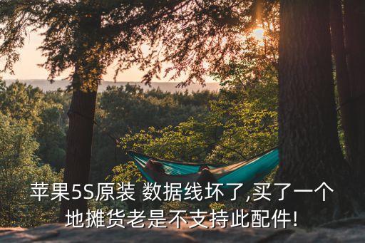 蘋果5S原裝 數(shù)據(jù)線壞了,買了一個地攤貨老是不支持此配件!