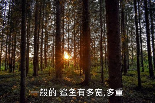 一般的 鯊魚有多寬,多重