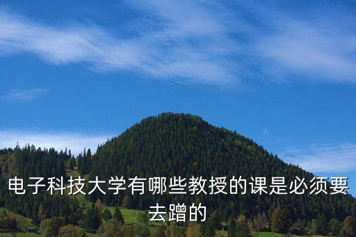 電子科技大學(xué)有哪些教授的課是必須要去蹭的