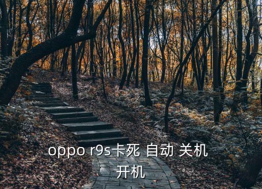 oppo r9s卡死 自動(dòng) 關(guān)機(jī) 開機(jī)
