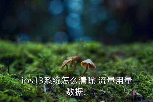 ios 流量自動清零,手機流量超標如何關(guān)閉?