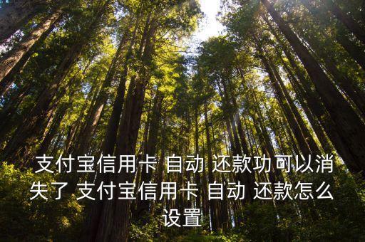  支付寶信用卡 自動 還款功可以消失了 支付寶信用卡 自動 還款怎么設(shè)置