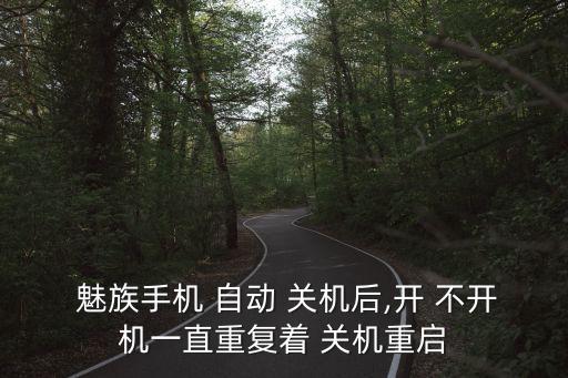  魅族手機(jī) 自動(dòng) 關(guān)機(jī)后,開(kāi) 不開(kāi)機(jī)一直重復(fù)著 關(guān)機(jī)重啟