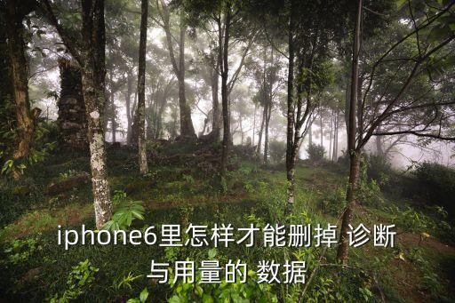 iphone6里怎樣才能刪掉 診斷與用量的 數(shù)據(jù)