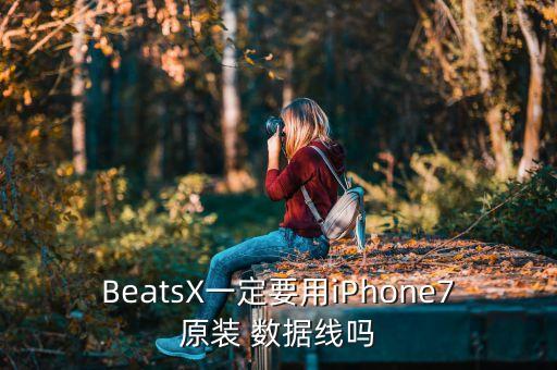 BeatsX一定要用iPhone7原裝 數(shù)據(jù)線嗎