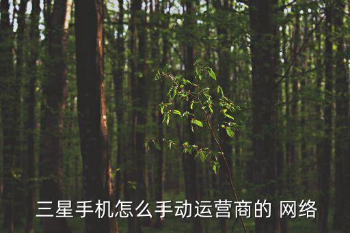  三星手機(jī)怎么手動(dòng)運(yùn)營(yíng)商的 網(wǎng)絡(luò)