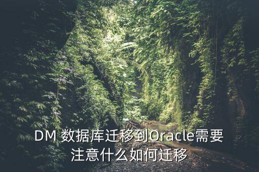 DM 數(shù)據(jù)庫遷移到Oracle需要注意什么如何遷移