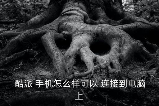  酷派 手機(jī)怎么樣可以 連接到電腦上