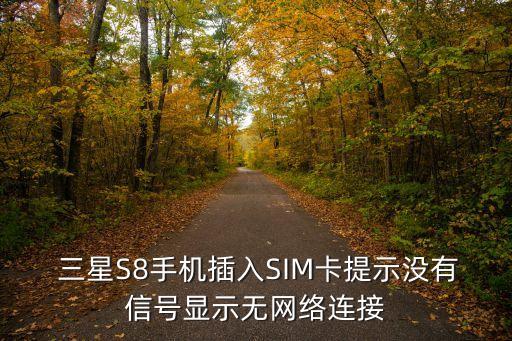  三星S8手機(jī)插入SIM卡提示沒有信號顯示無網(wǎng)絡(luò)連接