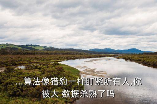 ...算法像獵豹一樣盯緊所有人,你被大 數(shù)據(jù)殺熟了嗎