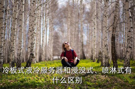 冷板式液冷服務器和浸沒式、噴淋式有什么區(qū)別