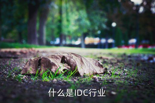 互聯(lián)網(wǎng)行業(yè)數(shù)據(jù)平臺,大數(shù)據(jù)技術(shù)在互聯(lián)網(wǎng)行業(yè)中的應(yīng)用