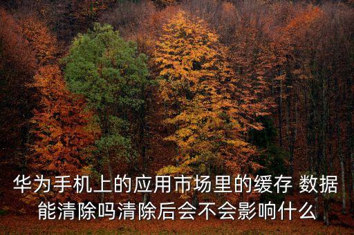 華為手機上的應用市場里的緩存 數(shù)據能清除嗎清除后會不會影響什么
