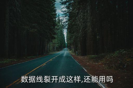  數(shù)據(jù)線裂開成這樣,還能用嗎