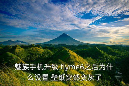 魅族手機(jī)升級(jí) flyme6之后為什么設(shè)置 壁紙突然變灰了