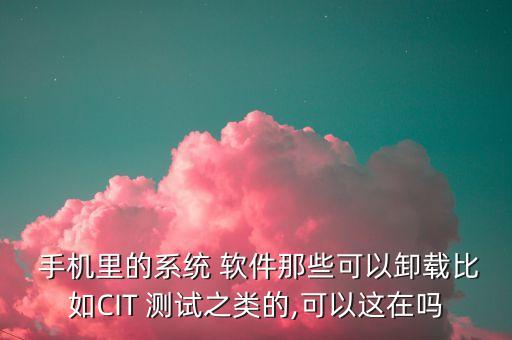  手機(jī)里的系統(tǒng) 軟件那些可以卸載比如CIT 測試之類的,可以這在嗎