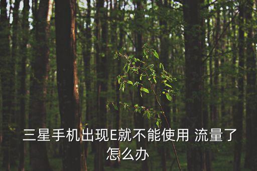  三星手機出現(xiàn)E就不能使用 流量了怎么辦
