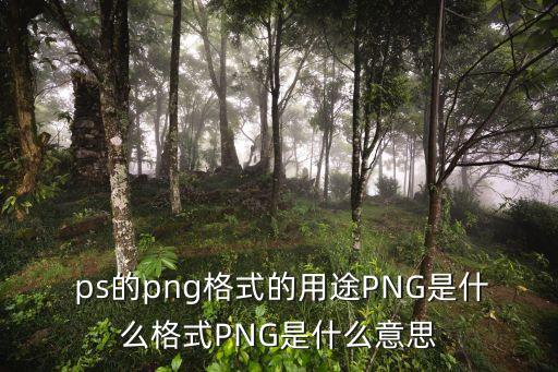  ps的png格式的用途PNG是什么格式PNG是什么意思