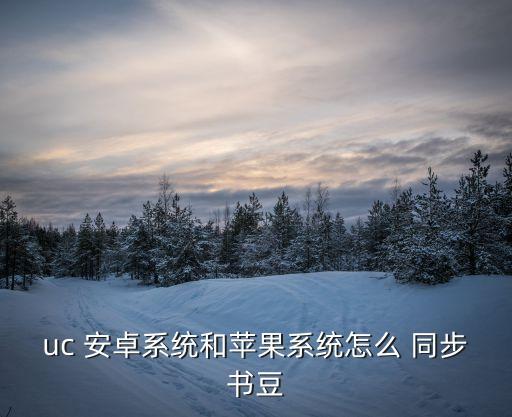 安卓自動(dòng)同步數(shù)據(jù)庫(kù)