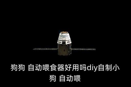 狗狗 自動喂食器好用嗎diy自制小狗 自動喂