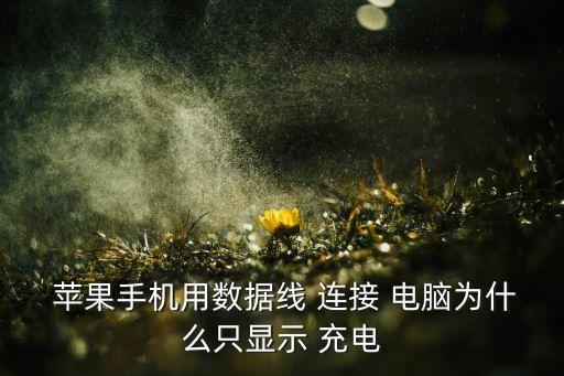  蘋果手機(jī)用數(shù)據(jù)線 連接 電腦為什么只顯示 充電