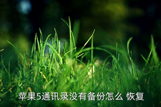 蘋果5怎么開(kāi)移動(dòng)數(shù)據(jù)恢復(fù),蘋果手機(jī)如何快速開(kāi)移動(dòng)數(shù)據(jù)恢復(fù)