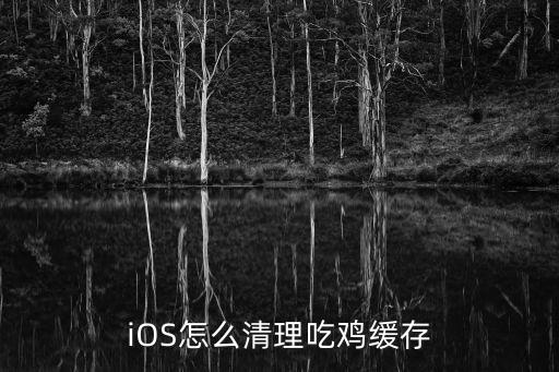ios怎么刪除游戲數(shù)據(jù),蘋果IOS和系統(tǒng)數(shù)據(jù)能刪除嗎