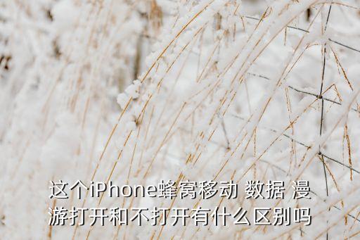 這個iPhone蜂窩移動 數(shù)據(jù) 漫游打開和不打開有什么區(qū)別嗎