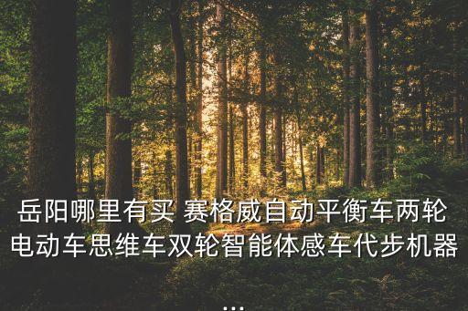 岳陽哪里有買 賽格威自動(dòng)平衡車兩輪電動(dòng)車思維車雙輪智能體感車代步機(jī)器...