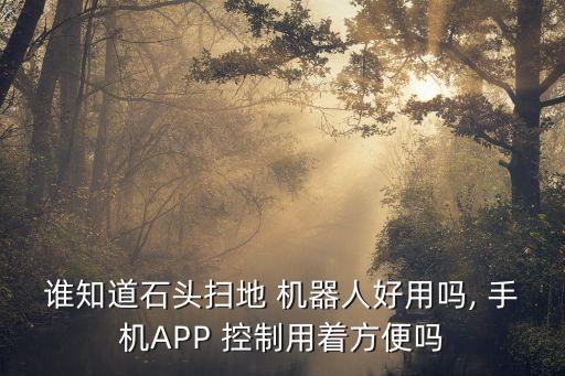 誰知道石頭掃地 機器人好用嗎, 手機APP 控制用著方便嗎