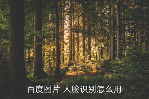 自動(dòng)在本地圖片中尋找相似人臉,如何進(jìn)行人臉識(shí)別?