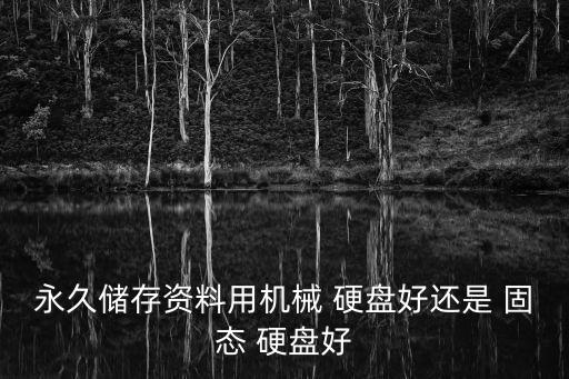 永久儲存資料用機械 硬盤好還是 固態(tài) 硬盤好