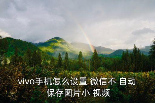vivo手機(jī)怎么設(shè)置 微信不 自動(dòng) 保存圖片小 視頻