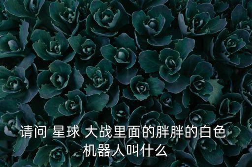 星球大戰(zhàn)大機器人
