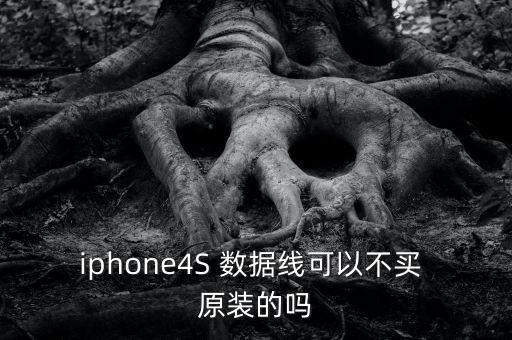 蘋果4s數(shù)據(jù)線 原裝,蘋果原裝數(shù)據(jù)線怎么辨別真假
